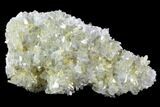 Plate Of Gemmy, Chisel Tipped Barite Crystals - Mexico #84423-1